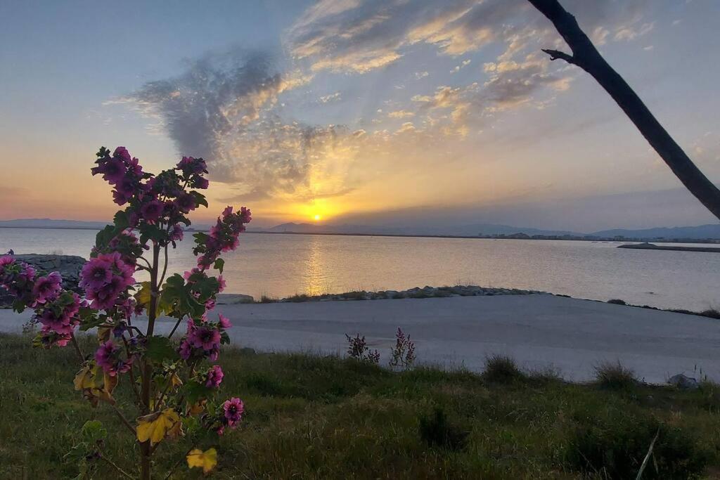Sunsetmare Vacational Apartment Roses Dış mekan fotoğraf